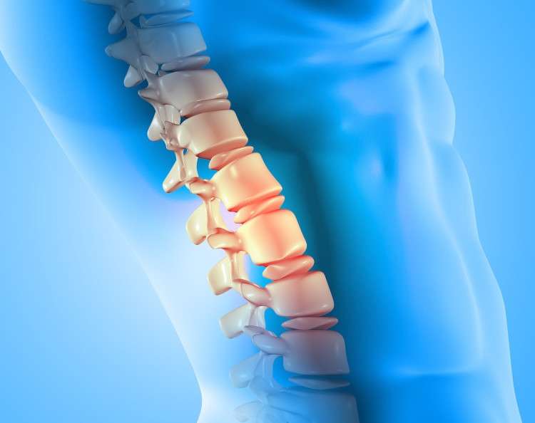 Bakirkoy-mikro-cerrahi