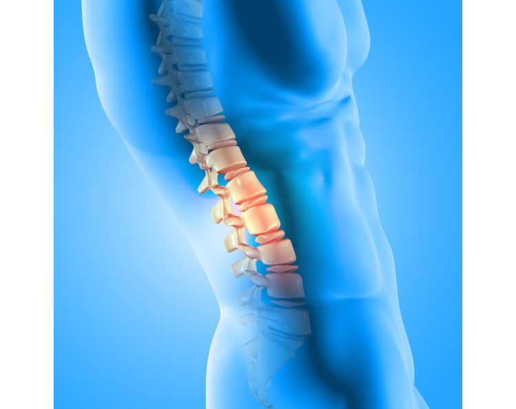 Bakirkoy-mikro-cerrahi